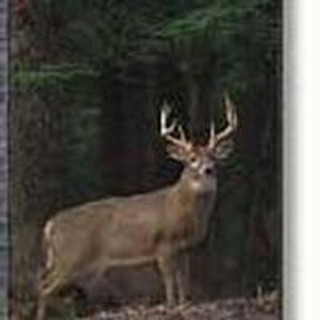 Gary Willman Profile Photo