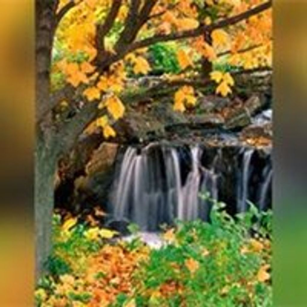 Darlene M. Gaede