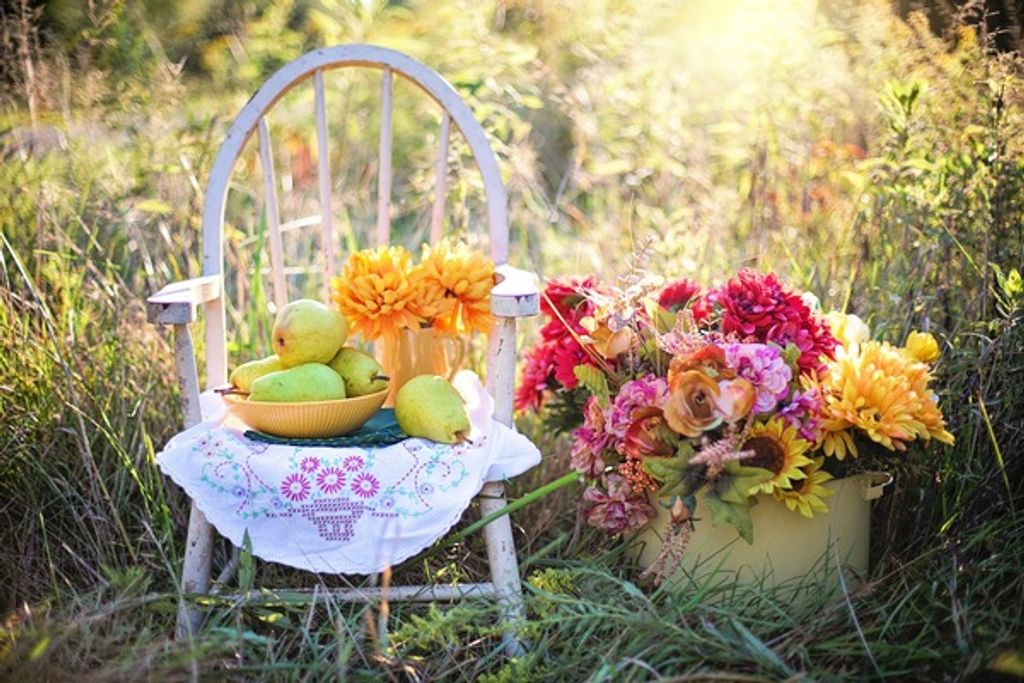 Dixie Lee Pullar Profile Photo