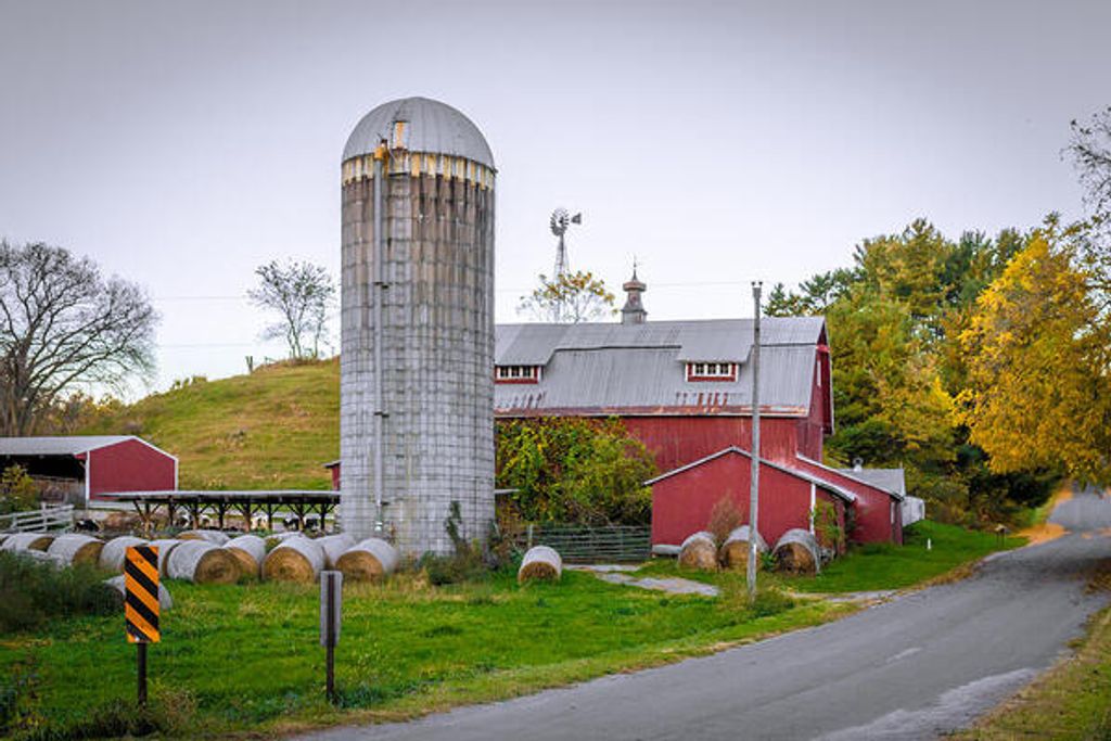 Marion E. Michelkamp Profile Photo
