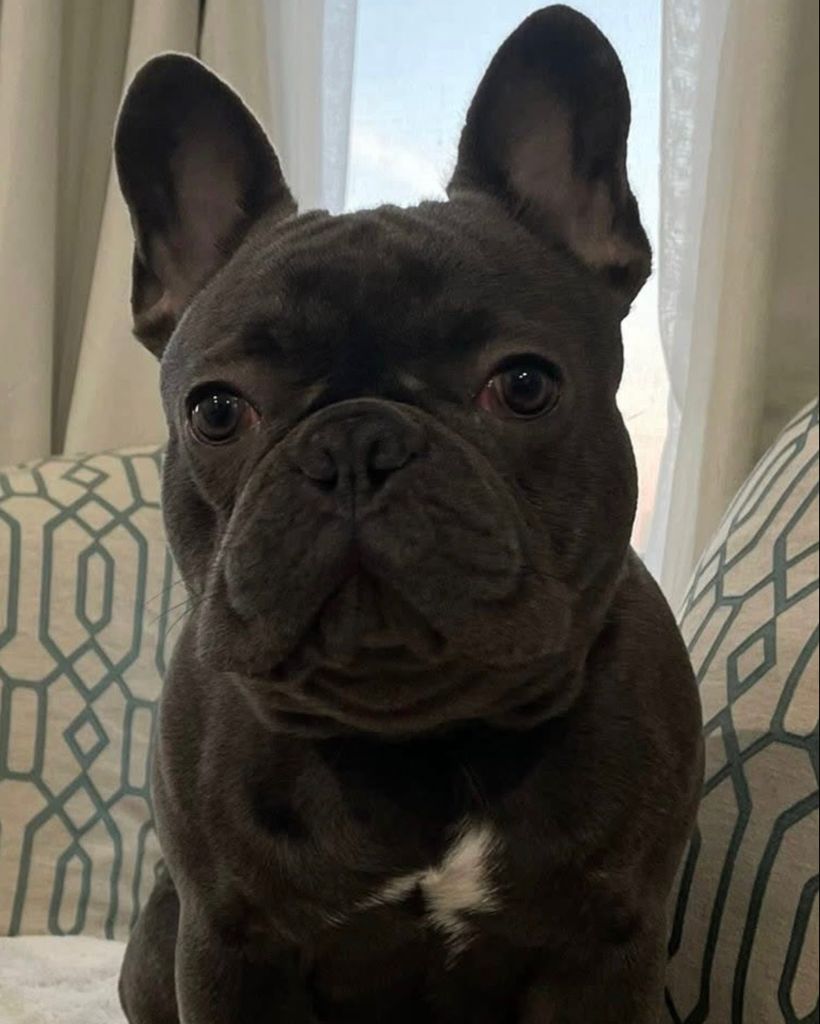 Wrigley Hensley Profile Photo