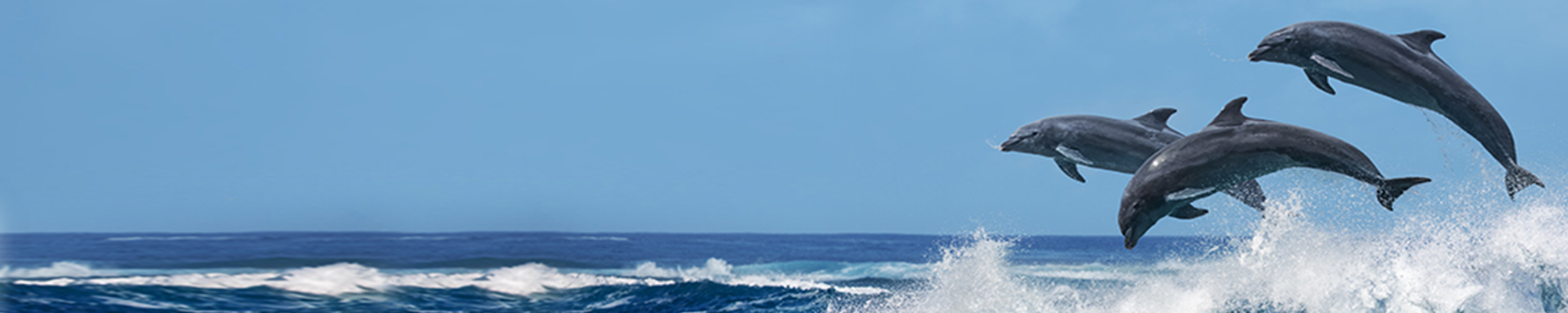 Cover photo for Robin Elliott's Obituary