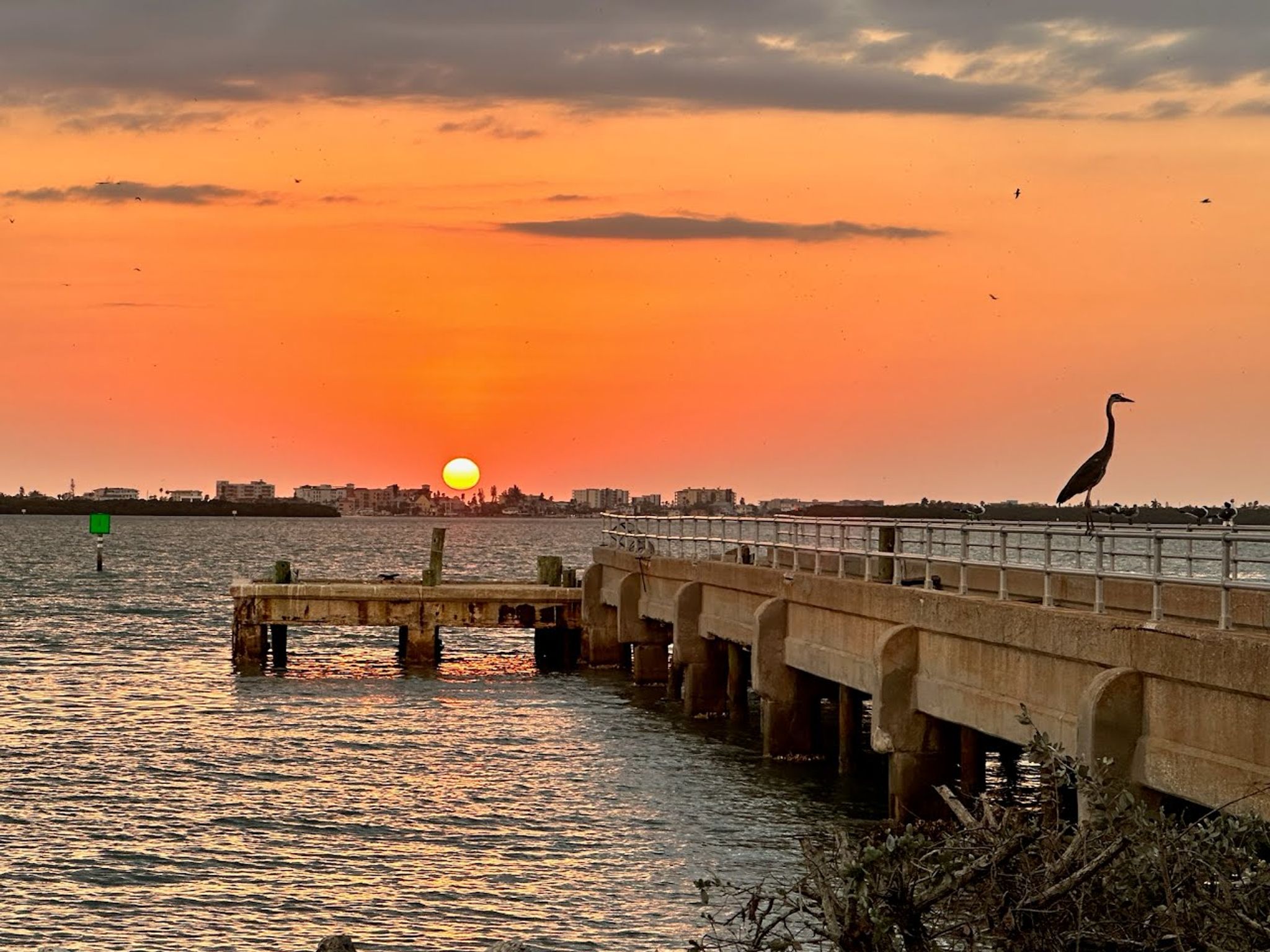 Cover for Daniel James Coyle's Obituary