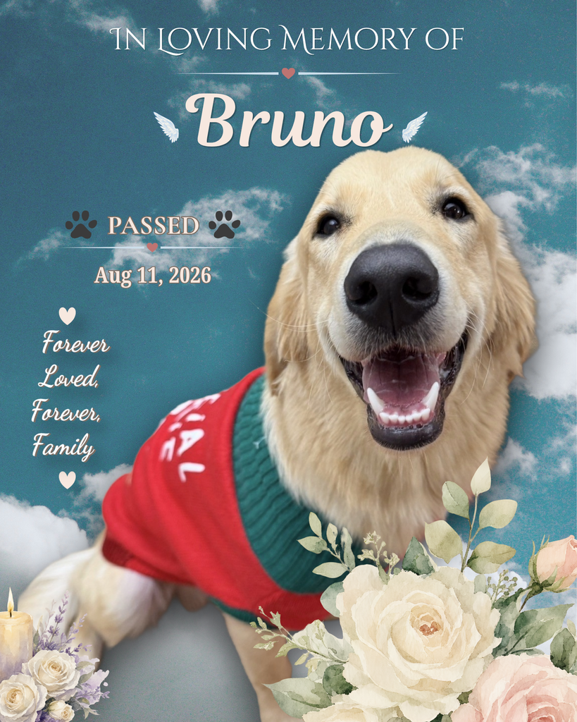 Bruno Profile Photo