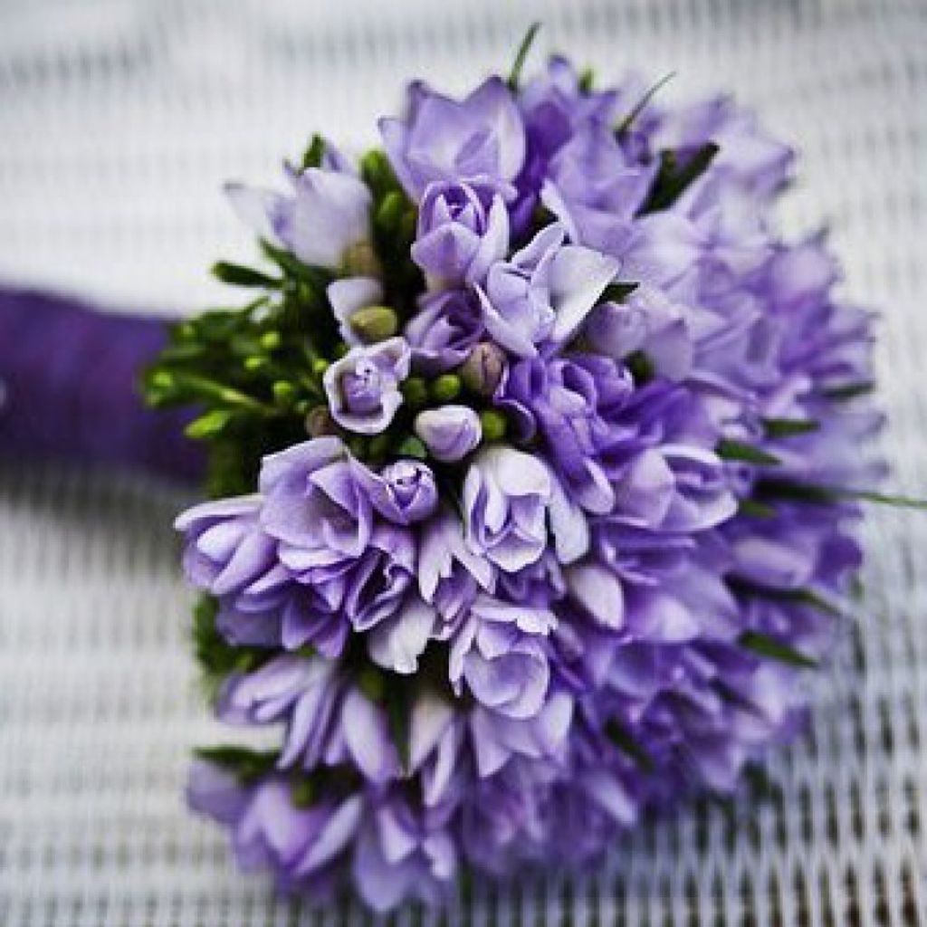 Virginia P. Nonnenmocher Profile Photo