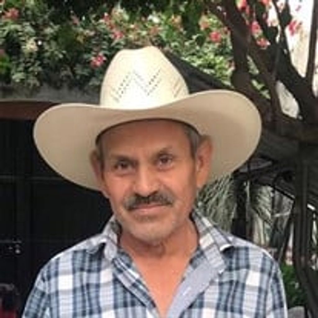 Guadalupe Hernandez Chavez Profile Photo
