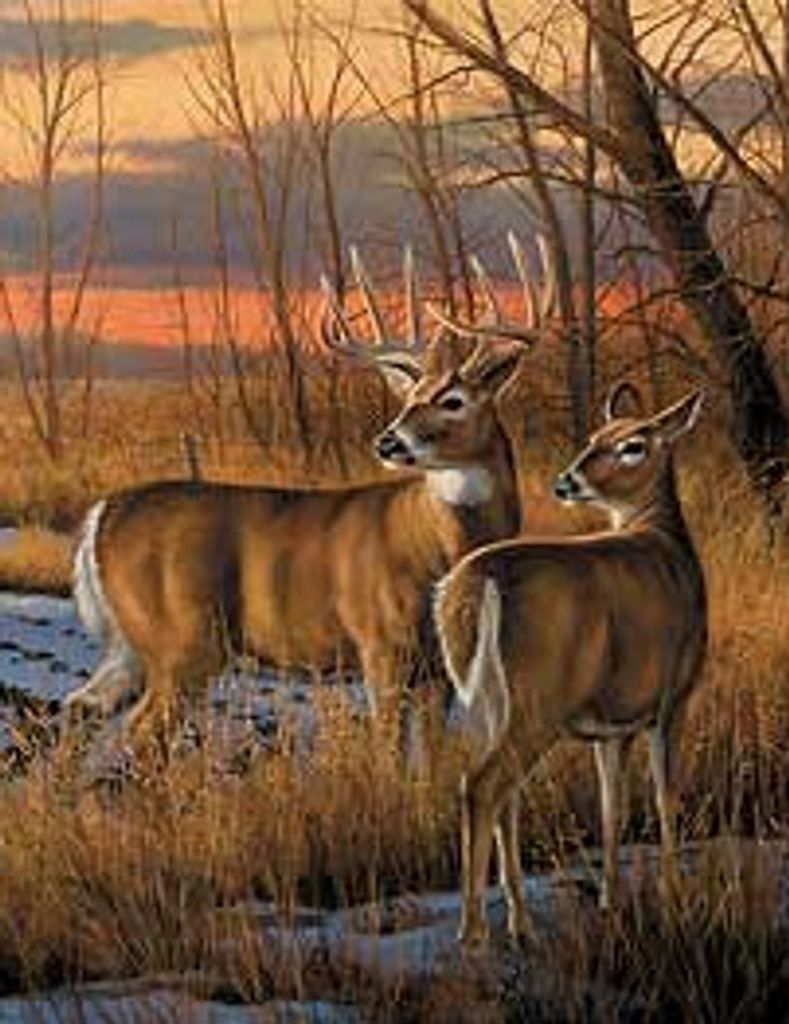 Vernon Glynn Mcilwee Profile Photo