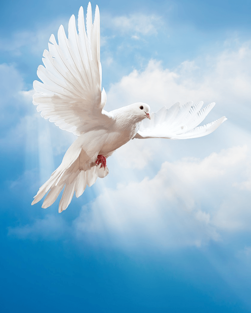 Jesus F. Gonzalez Profile Photo