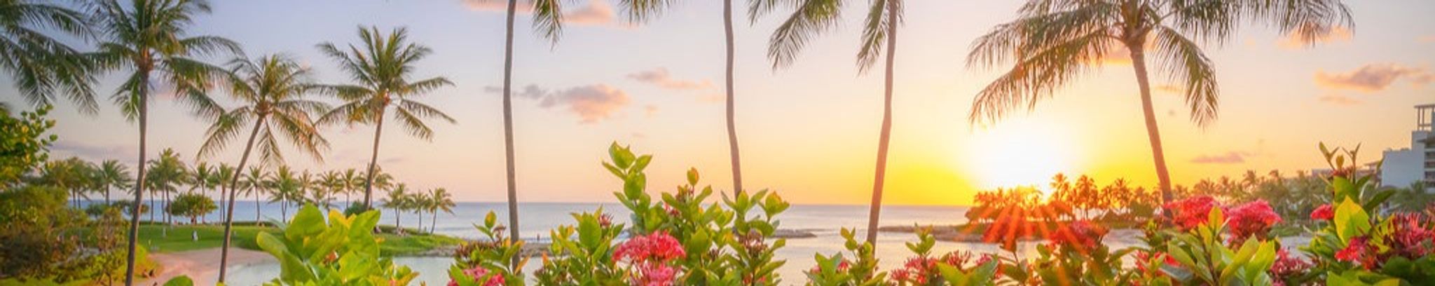 Cover photo for JoAnn "Joanie"  Bailey's Obituary