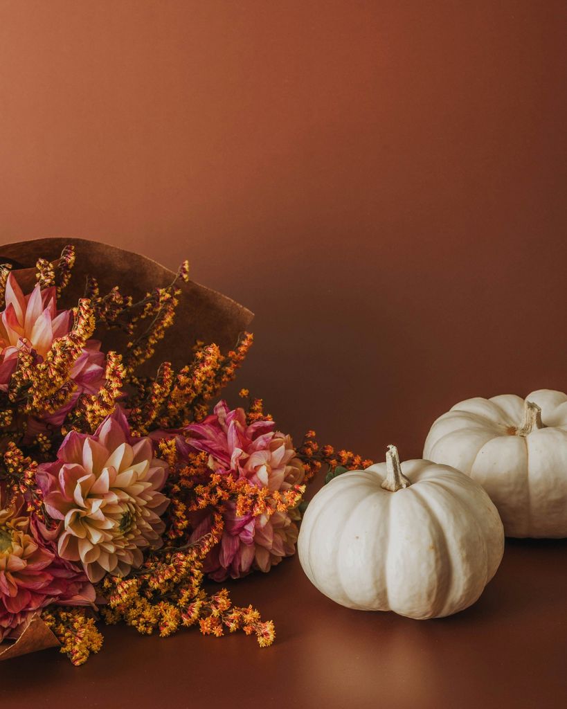 Phyllis Lynden Ewald