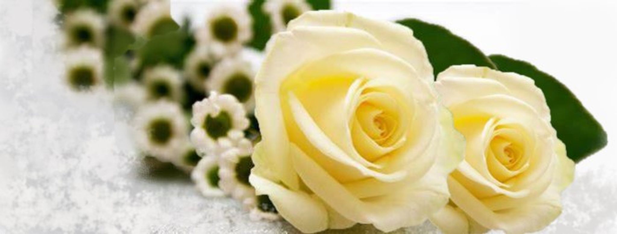 Cover photo for Marybeth E. Gonzalez's Obituary