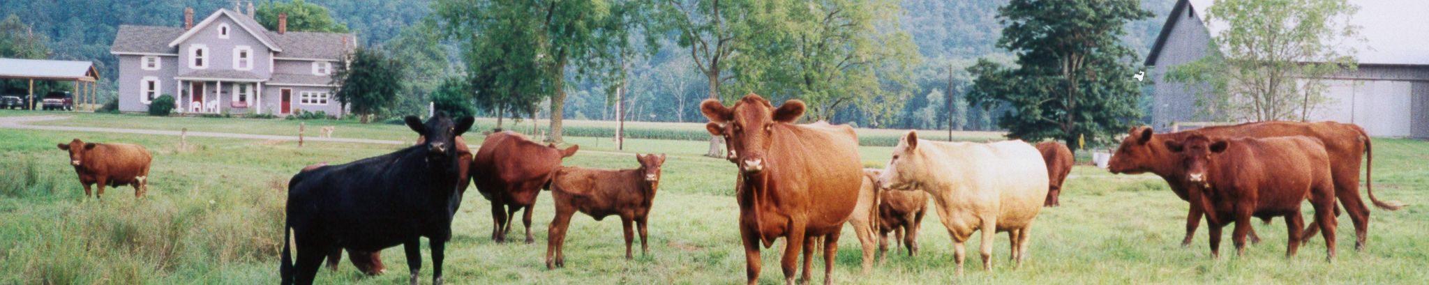 Cover for Lee Edward Allyn's Obituary