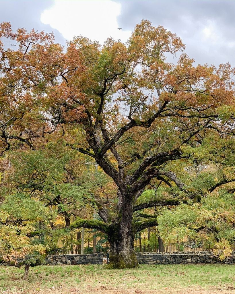 Richard Gary Lee Profile Photo