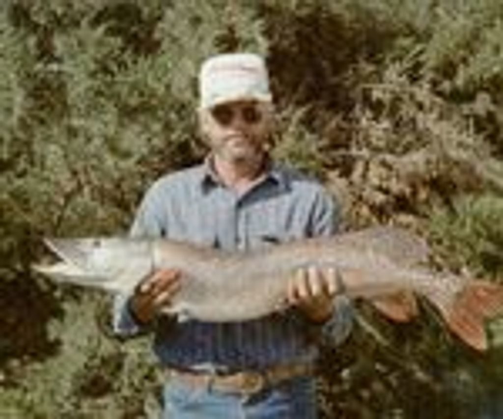 David A. Altwine