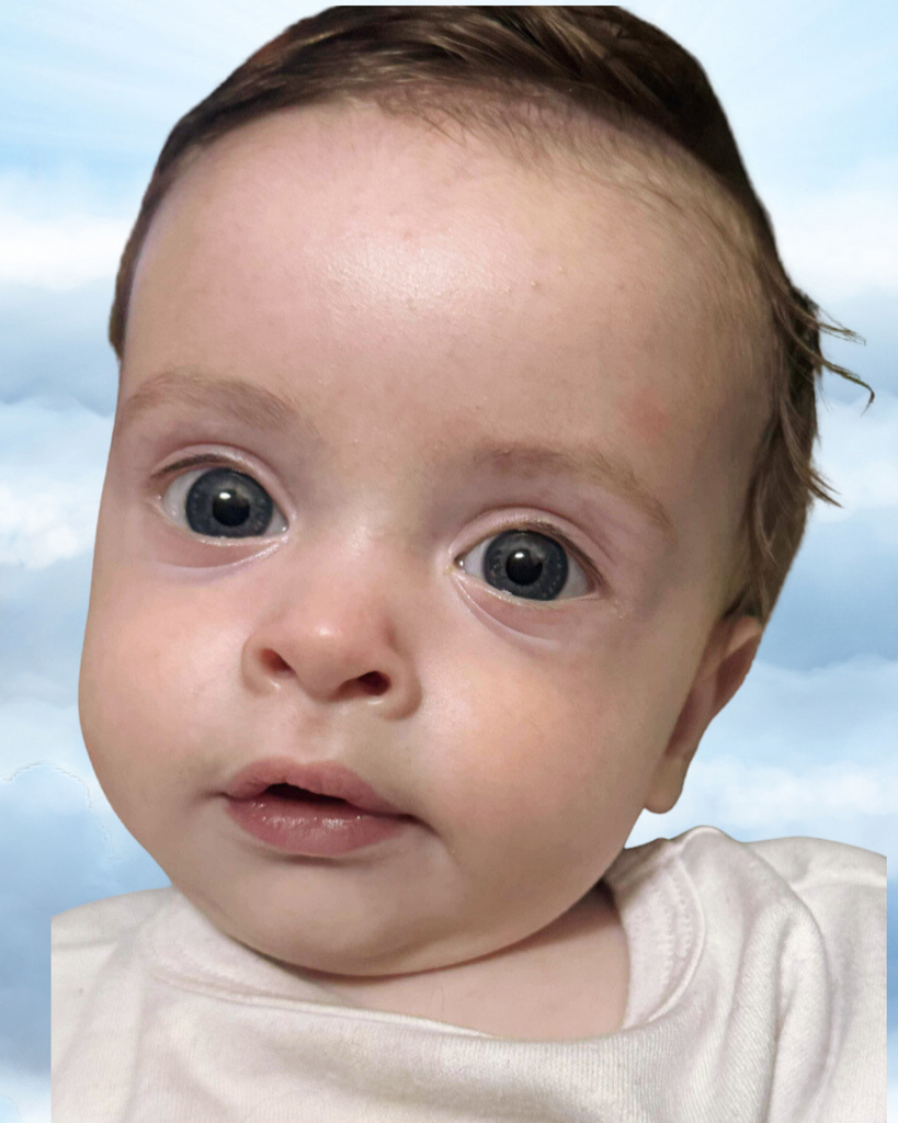 Odin Stark Vaillant Profile Photo