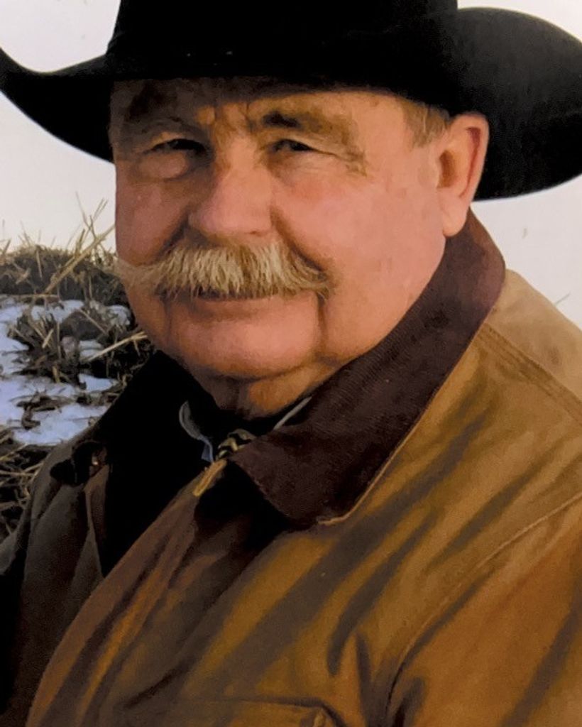 Beryl D. Stewart Profile Photo