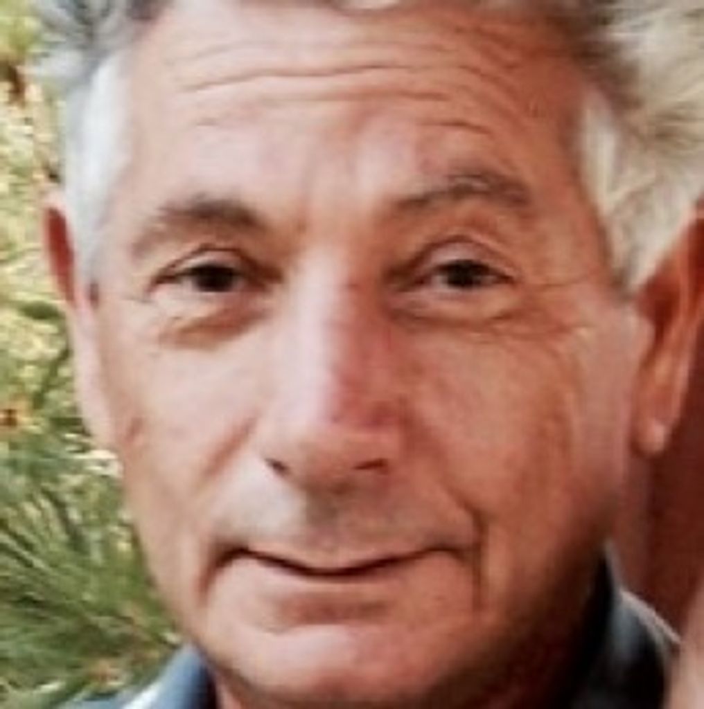 Cosmo Dominelli Profile Photo