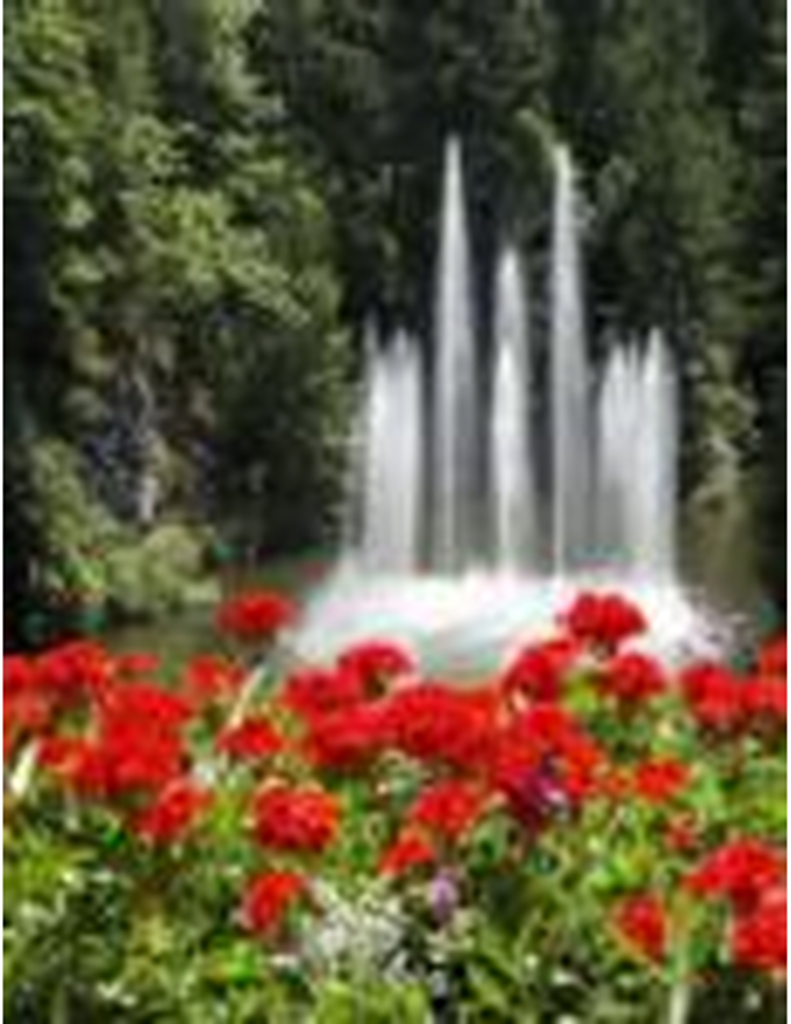 Sharon Colleen Quillian Mcdaniel