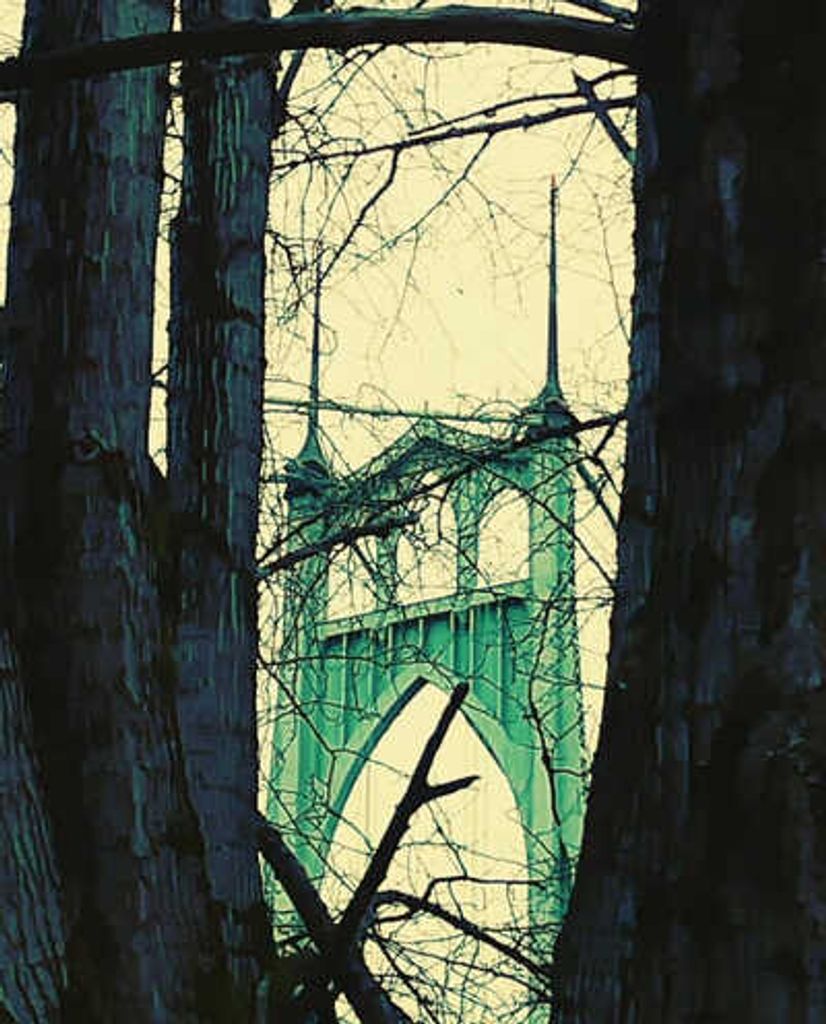 Mitchell Lee Quesinberry