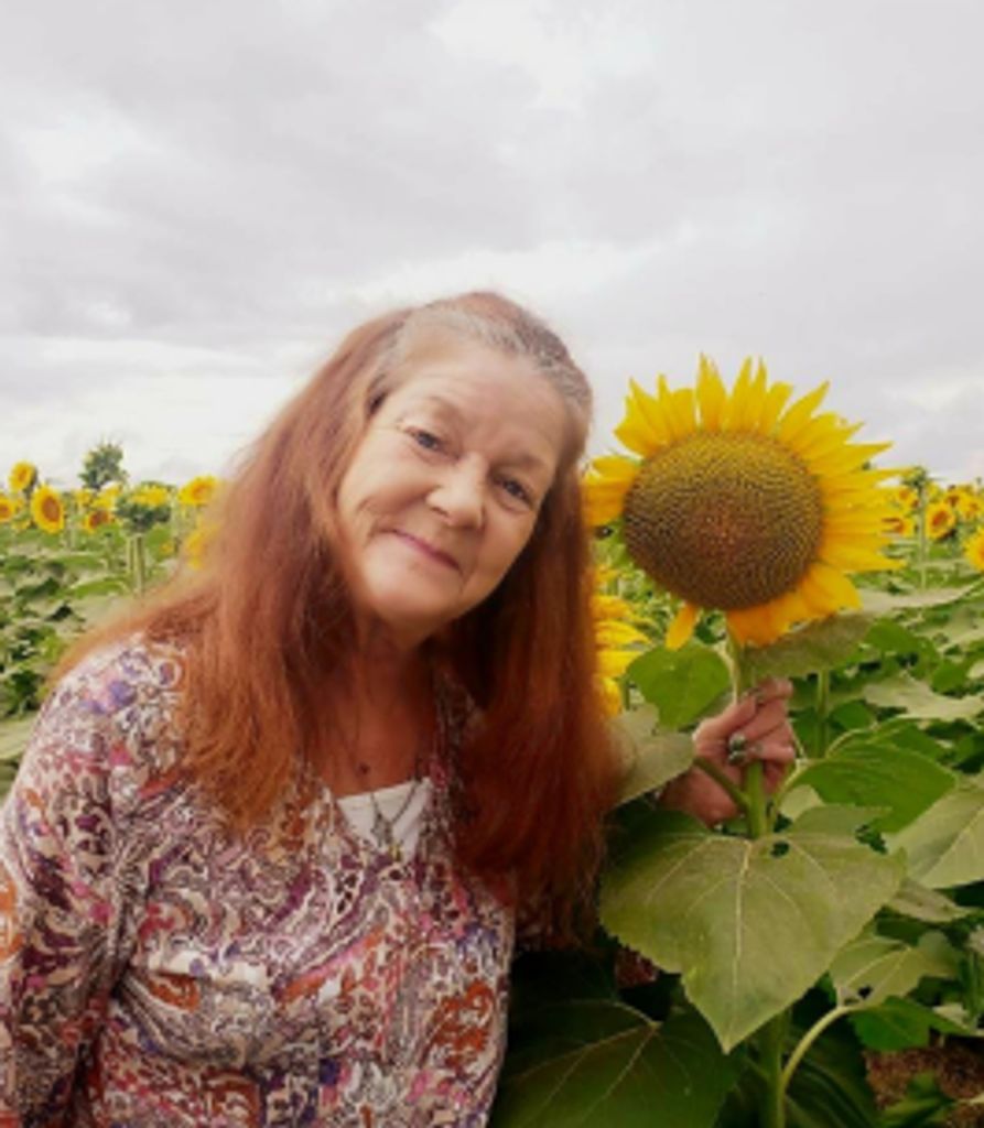 Donna Dreyer
