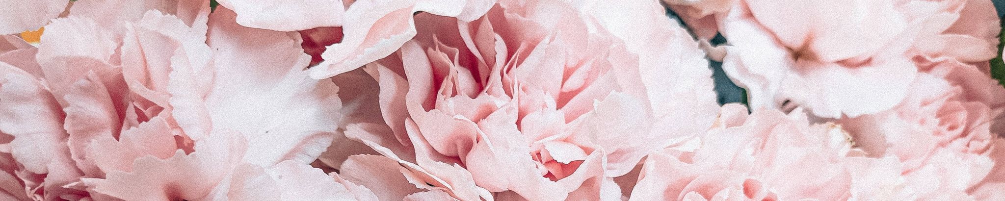 Cover for Jessie L. Gagliano's Obituary