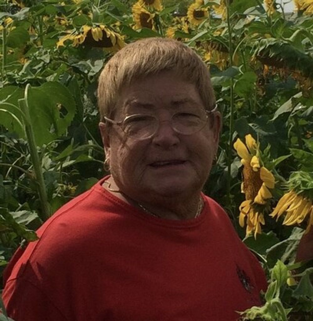 Marie M. O'Connell Profile Photo