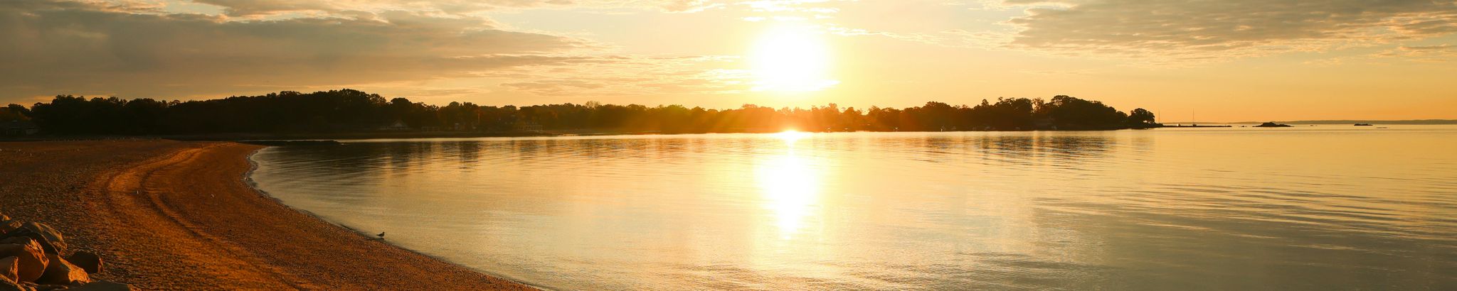 Cover for Marianne S. Welna's Obituary