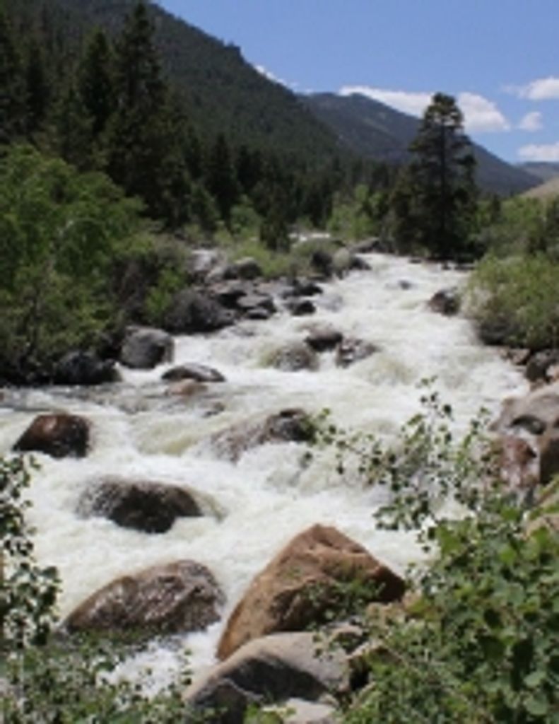 Larry Duane Music Profile Photo