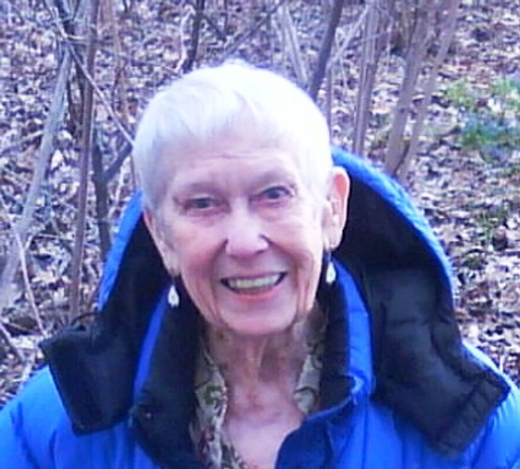 Ann Norsetter