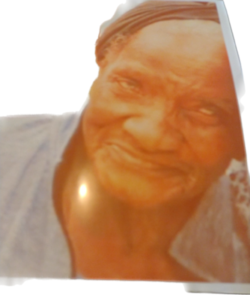 Rose Plummer Profile Photo