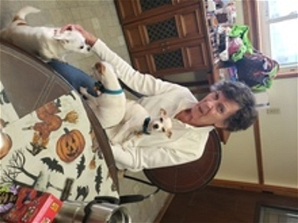 Cecelia Pullin Profile Photo