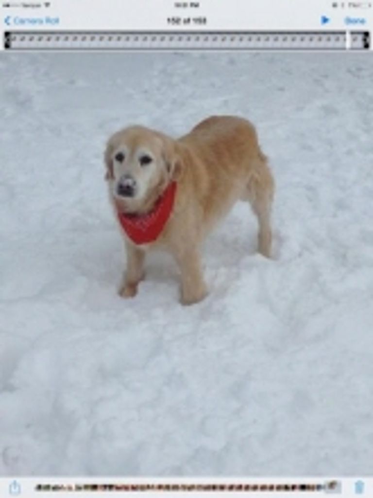 Jazz Ferguson Profile Photo