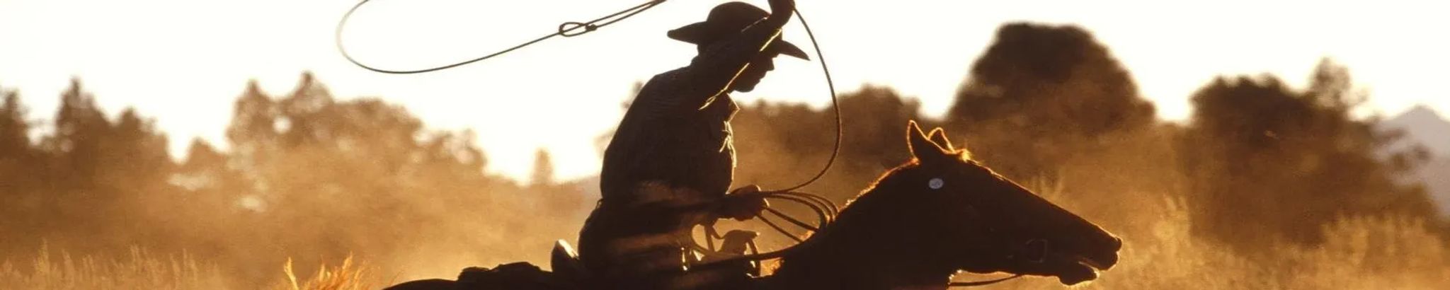 Cover for Cody M Pablo's Obituary