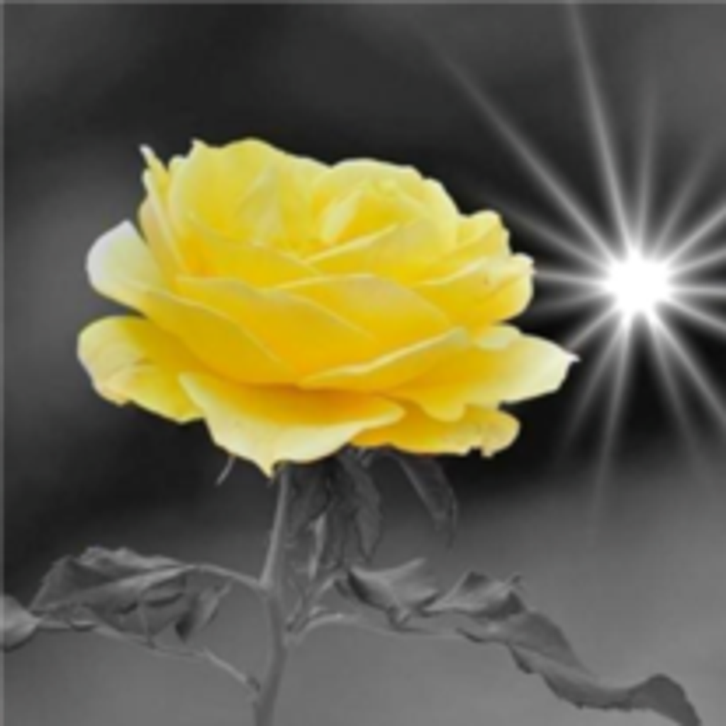 Linda Meades Landers