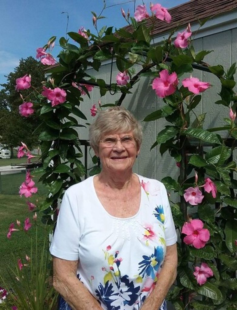 Marjorie Jane Jenkins Chronister Profile Photo
