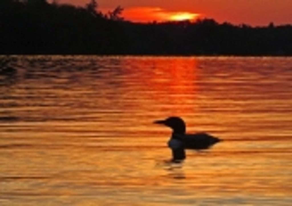 Dale Ray Ensz Profile Photo