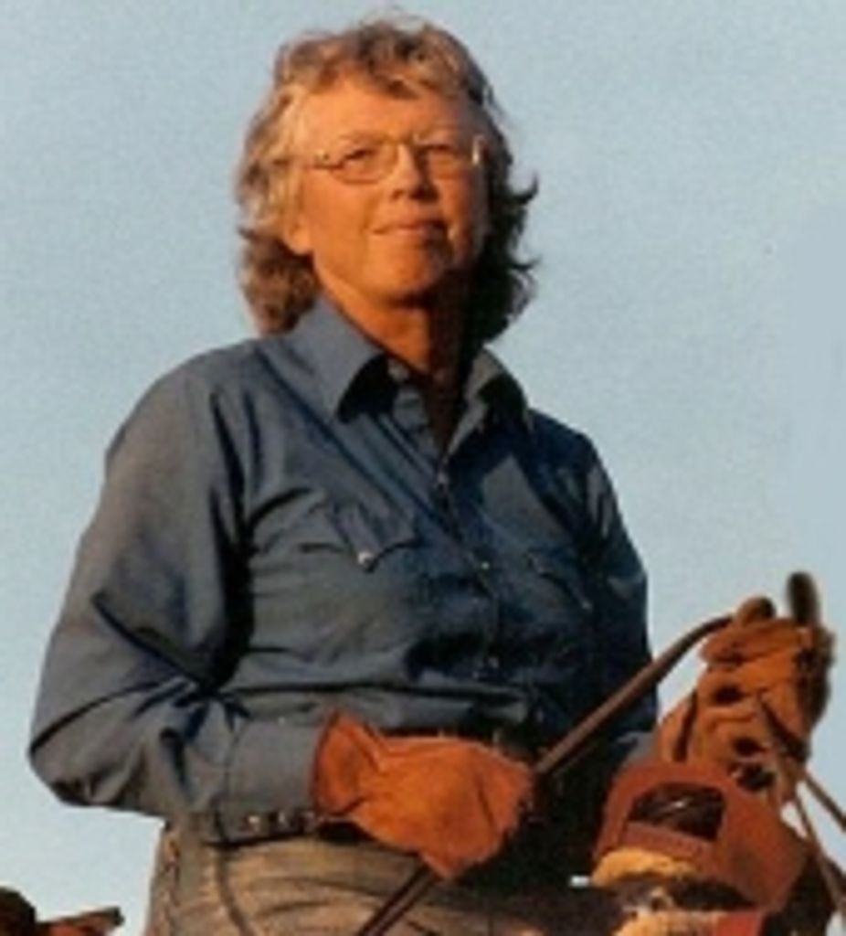 Sarah Jane Mcclure Johnson Shaw