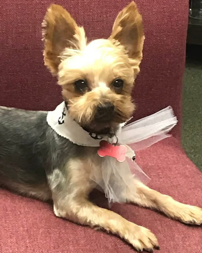 Reese Points Profile Photo