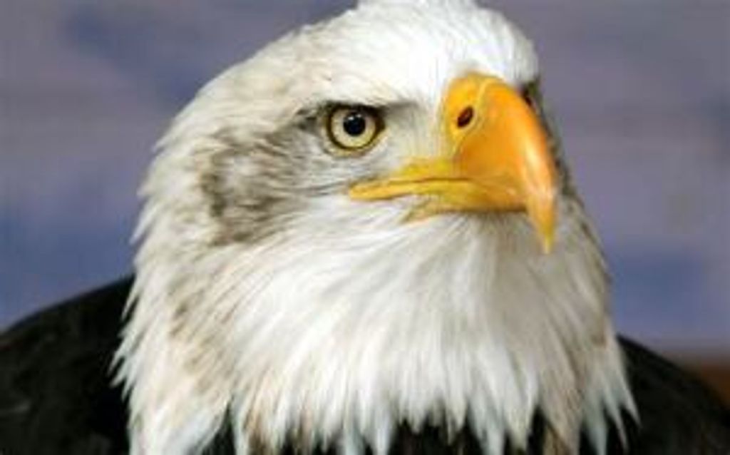 Rodney A. Sanford Profile Photo