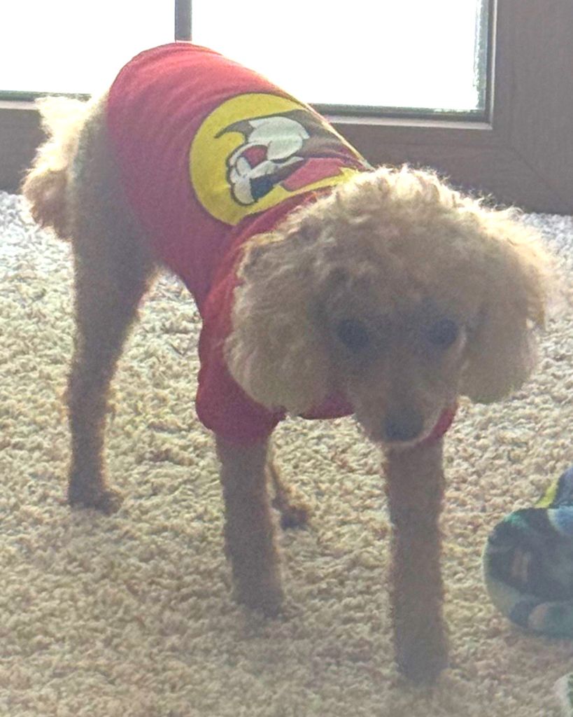 Bella Roadruck Profile Photo