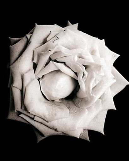 Nelda S. Richardson Profile Photo