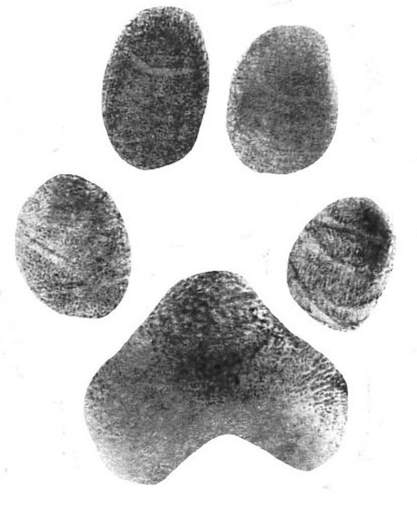 Cocoa Culpepper Profile Photo