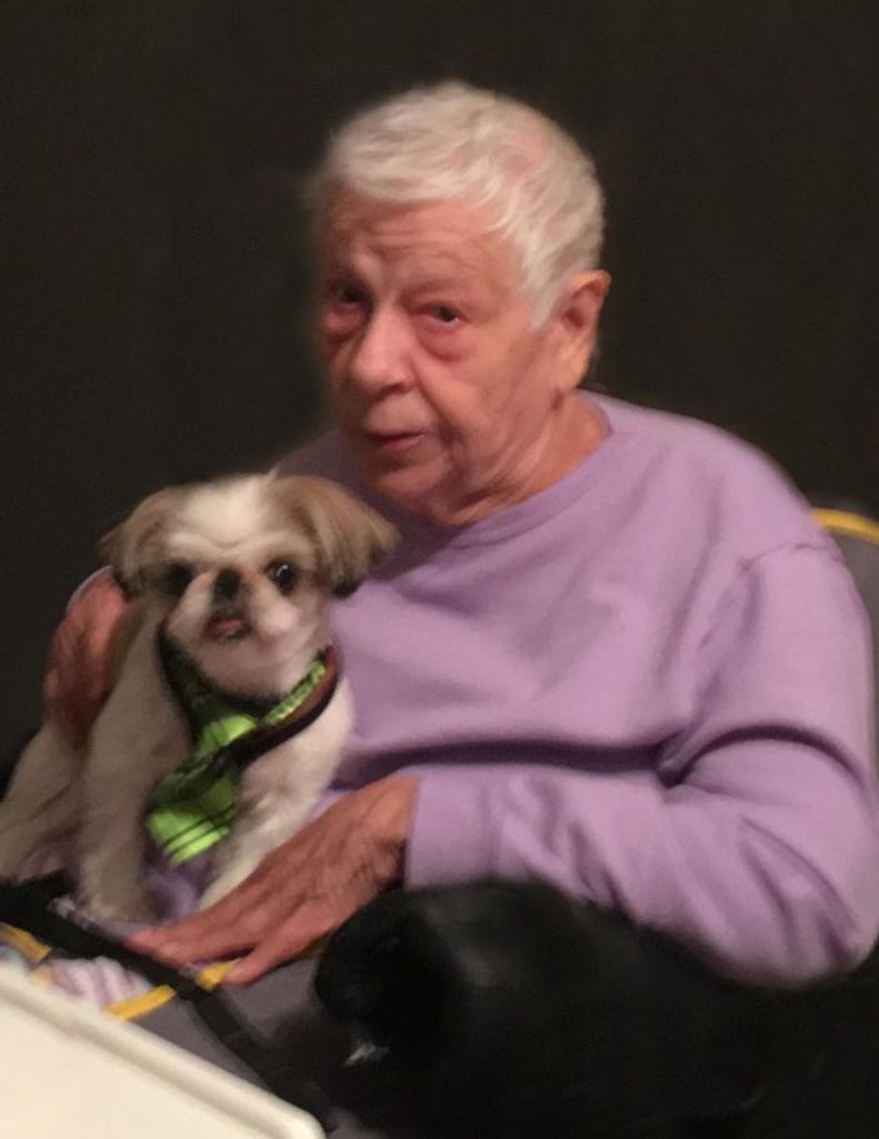 Virginia Suriano