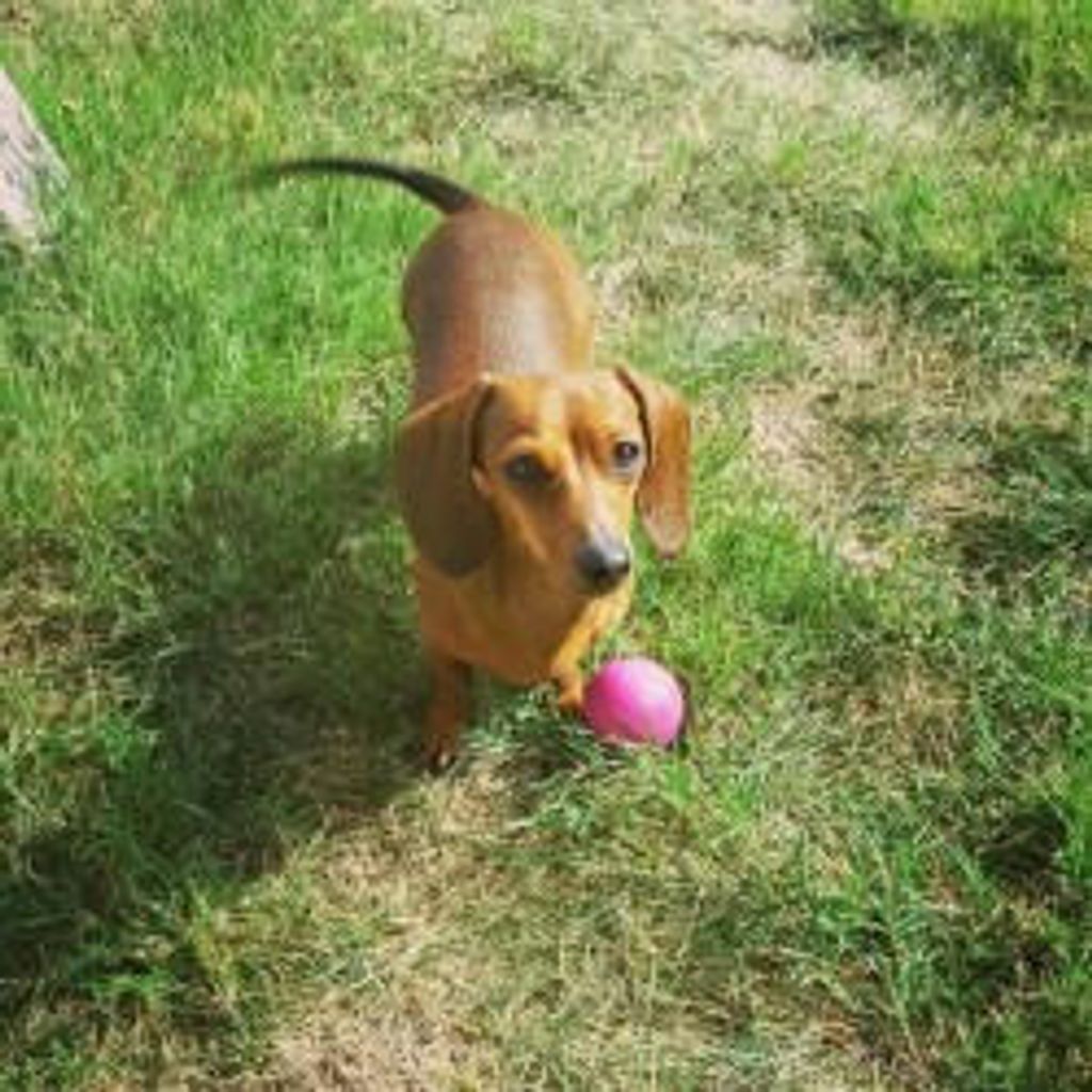 Rosita "Rosie" Wieners Profile Photo