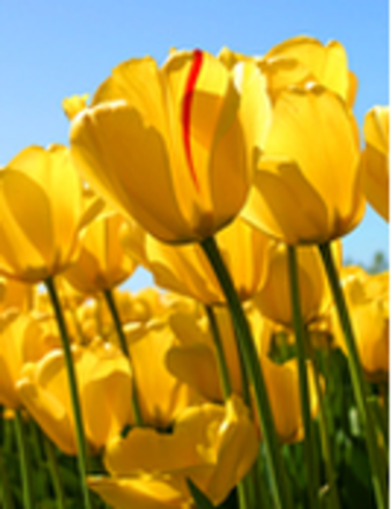 Ernestine (Daniels) Thompson