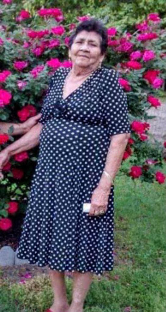 Fidela Jaimes Profile Photo