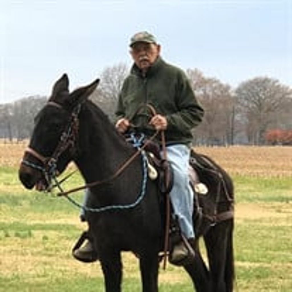 Harry S. Deloach
