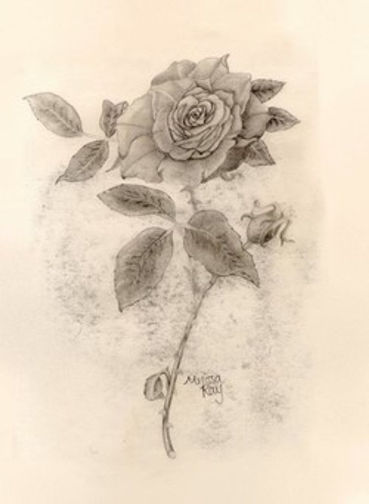 Sandra Bachner