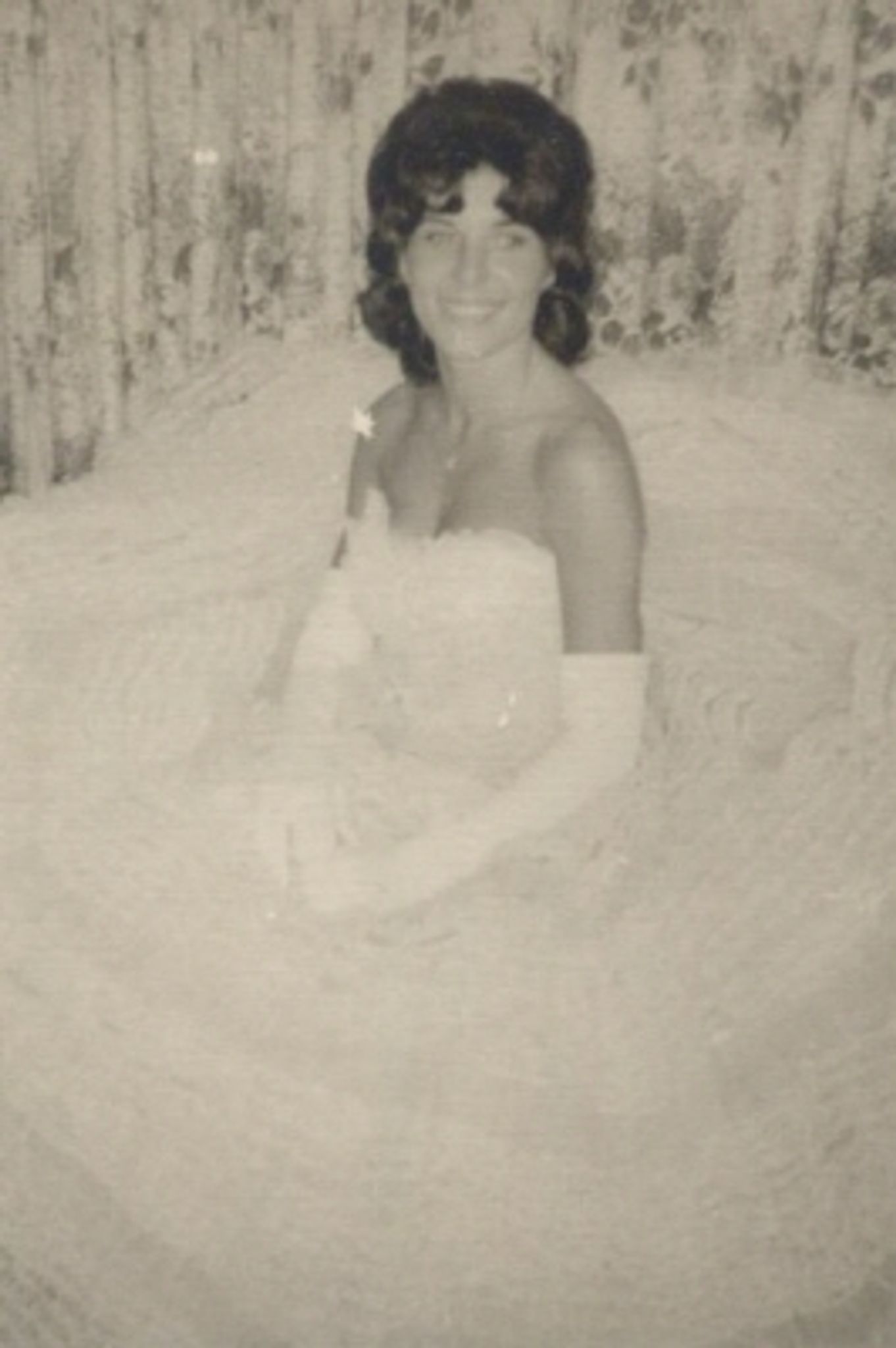 Louisa Vacation Packages 2026 | Travelocity, image size:1362x2048