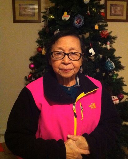 Shu-Hwa Lin's obituary image